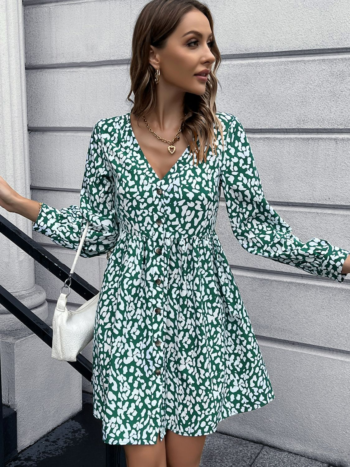 Animal Print Buttoned V-Neck Long Sleeve Dress